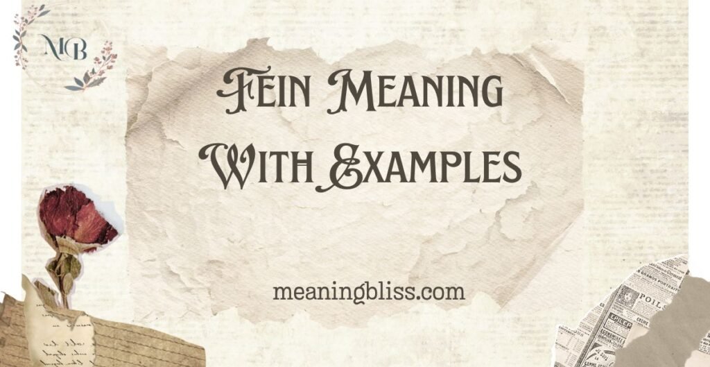 Fein Meaning With Examples