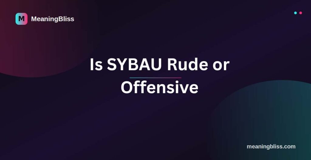 Is SYBAU Rude or Offensive