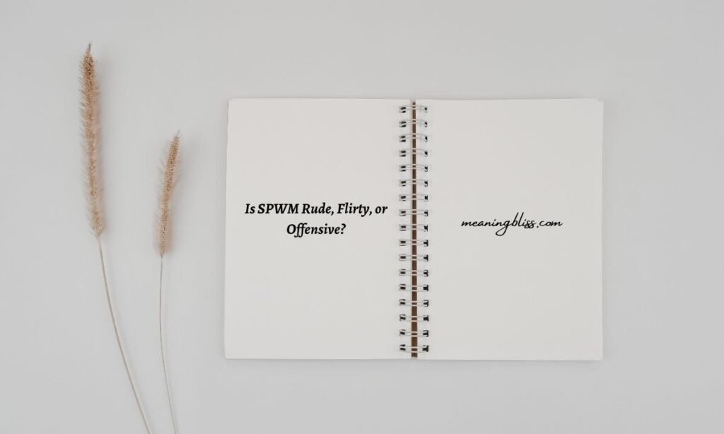 Is SPWM Rude, Flirty, or Offensive