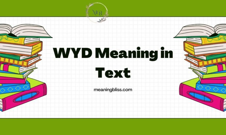 WYD Meaning in Text