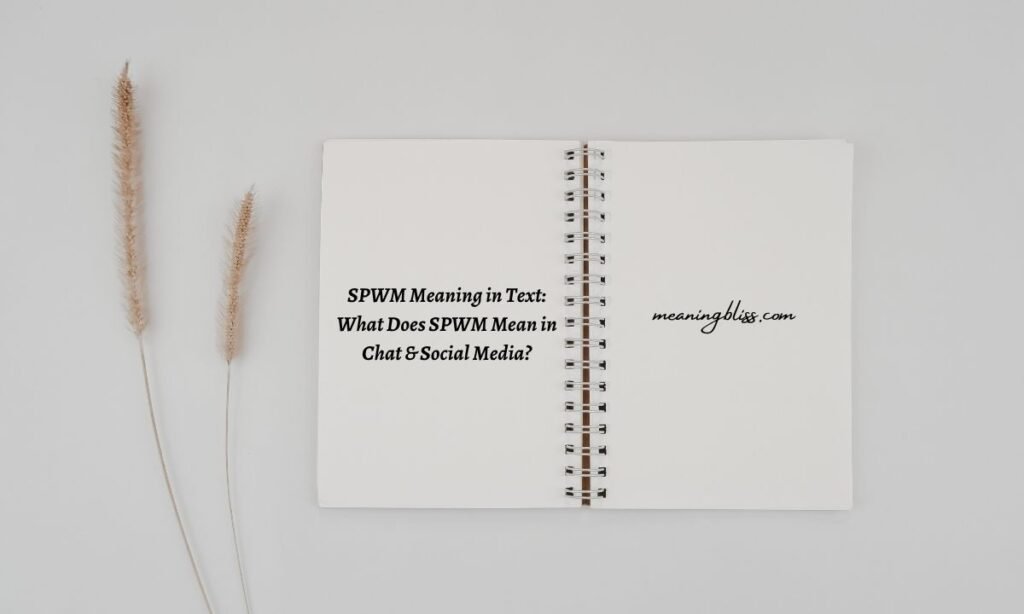 SPWM Meaning in Text